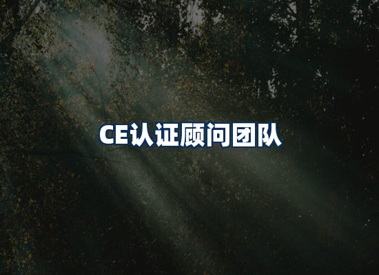 CE认证顾问团队